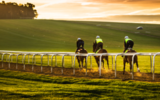 Racehouse owners 320 