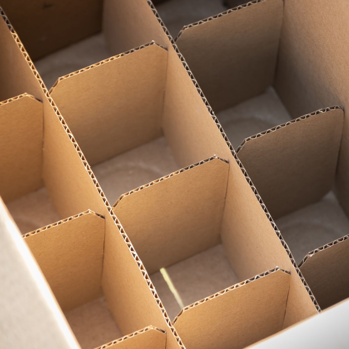 Corrugated Cardboard