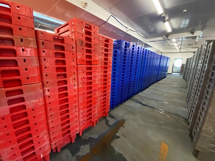  Contents of a Commercial Fish Processor & Distributor in Plymouth