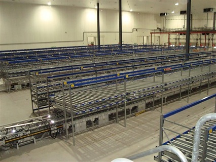 Dematic fully automated carton