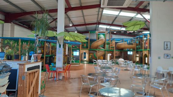 Jungle Jacks 8