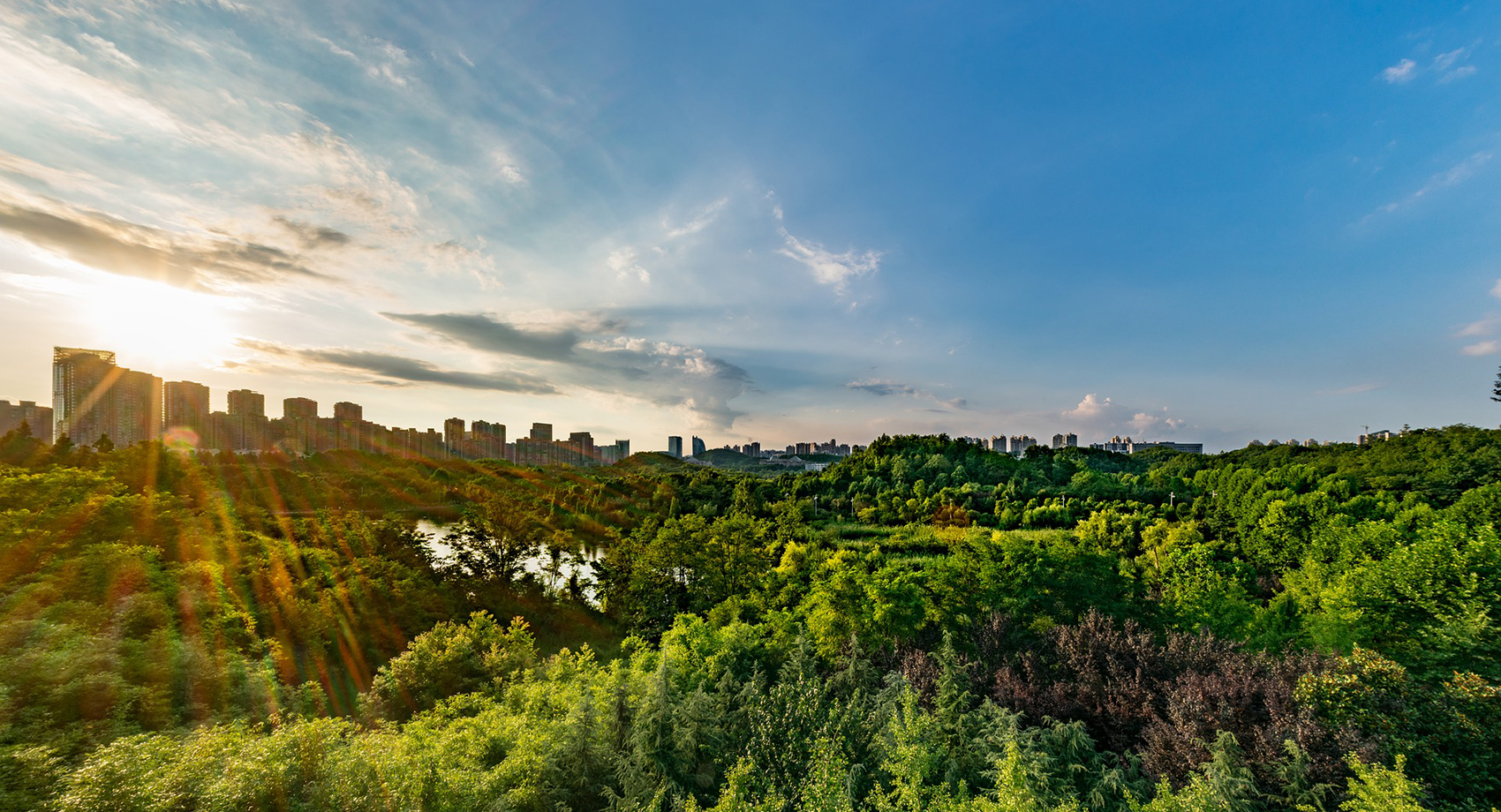 Healthy urban design