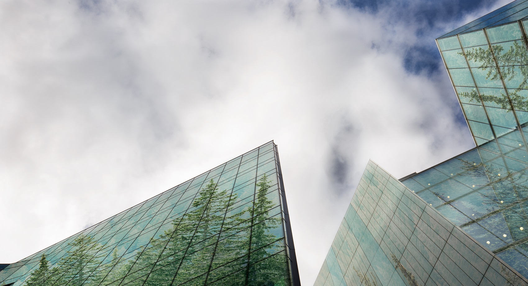 ESG and sustainability