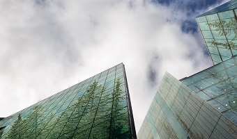 ESG and sustainability
