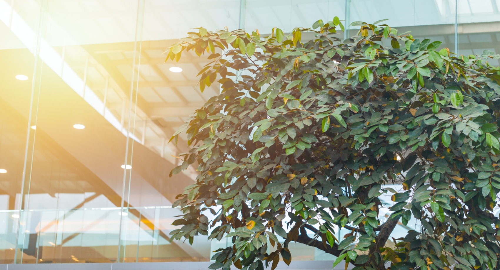 Green leases sustainability blog