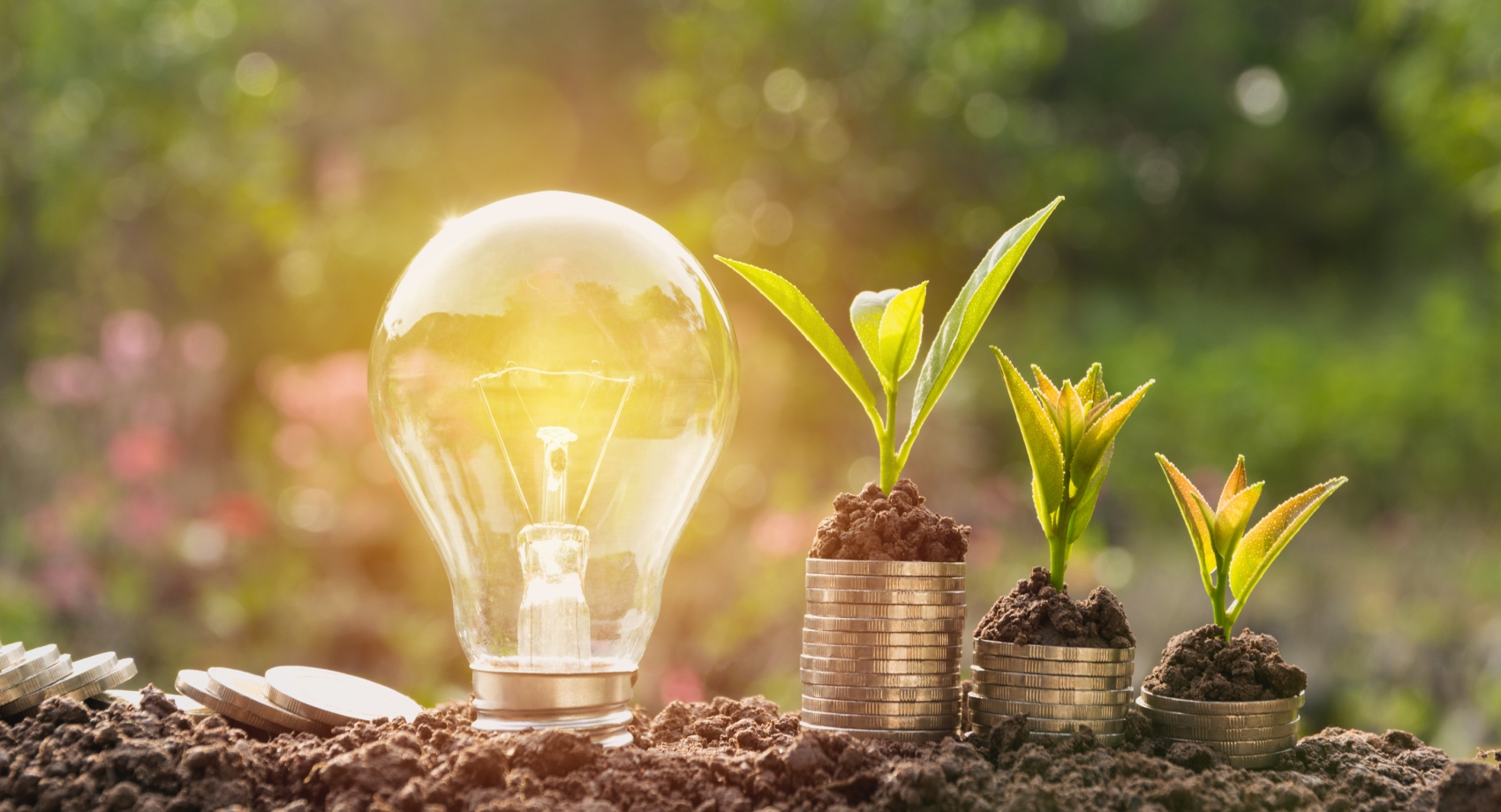 MEES sustainability blog