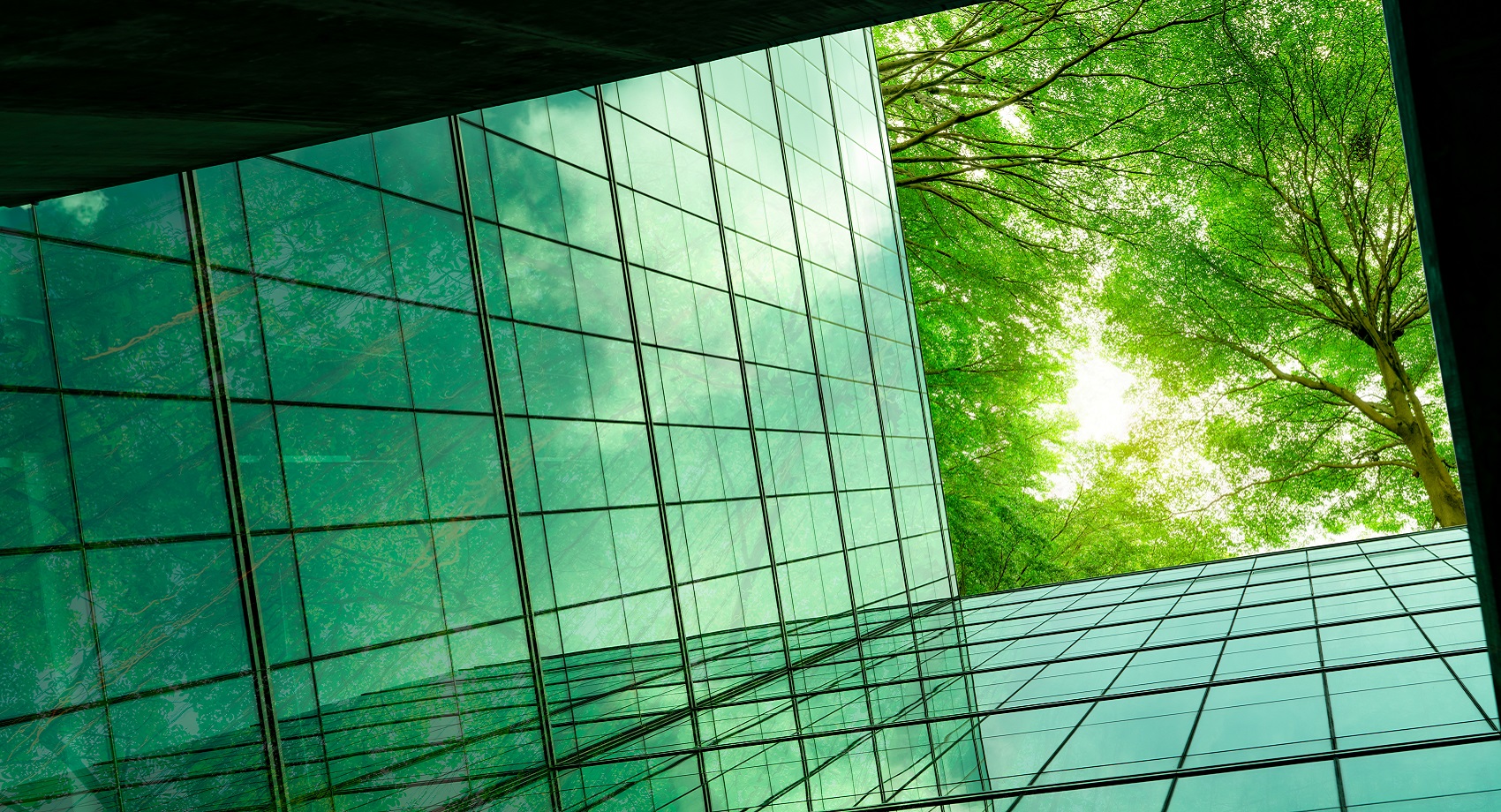 Sustainable office building