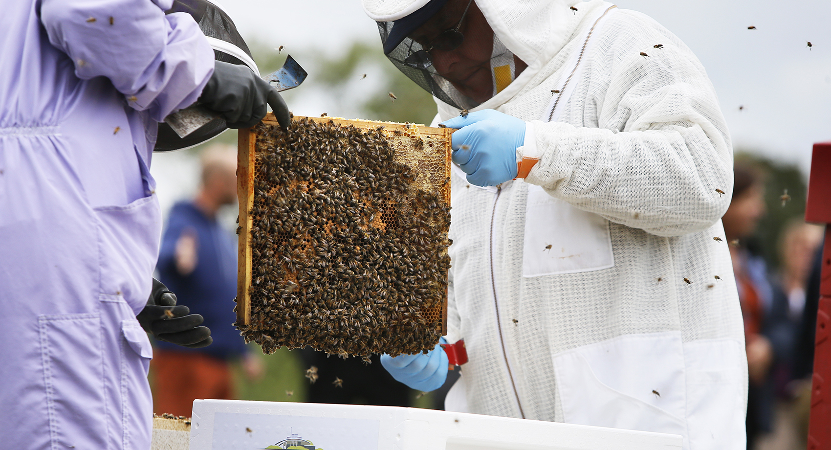 Westcott Venture Park, Aylesbury