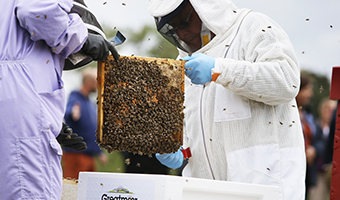 Westcott Venture Park, Aylesbury