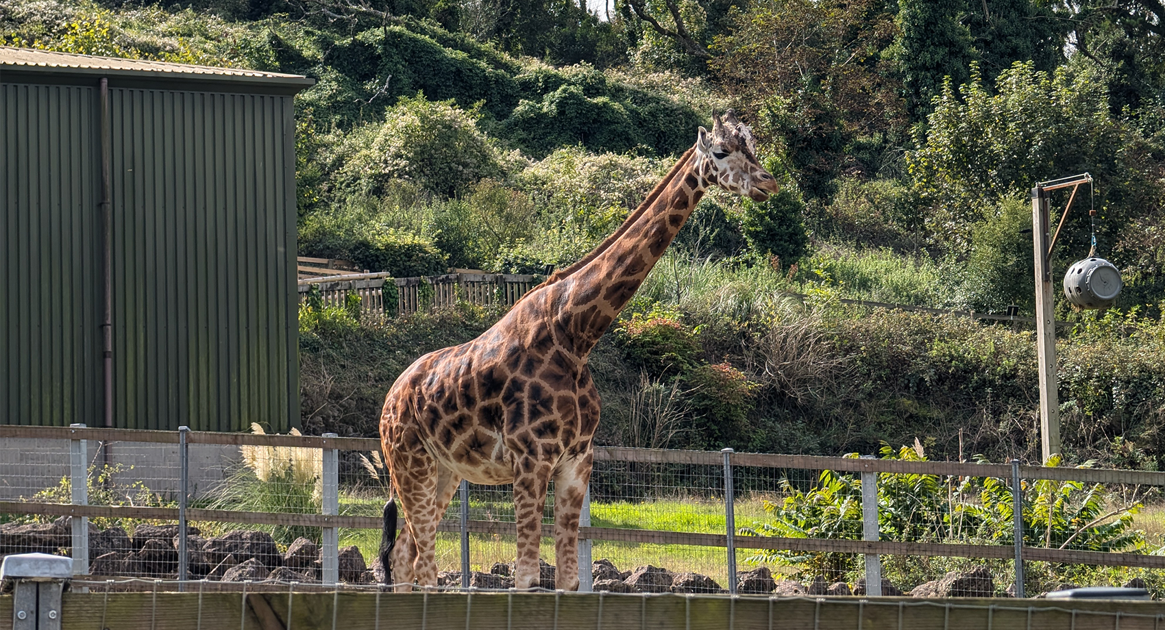 Paignton Zoo & Newquay Zoo
